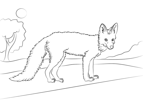 Young Red Fox  Coloring Page